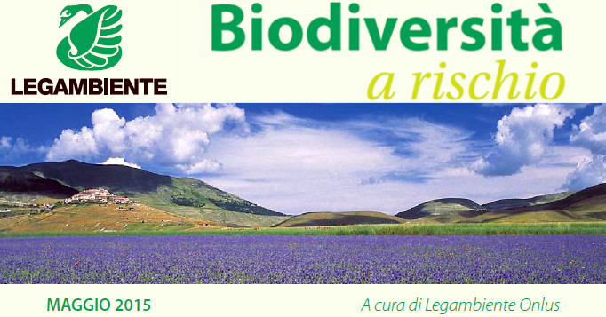 Rapporto Biodiversità 2015
