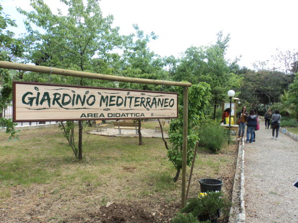 giardino mediterraneo